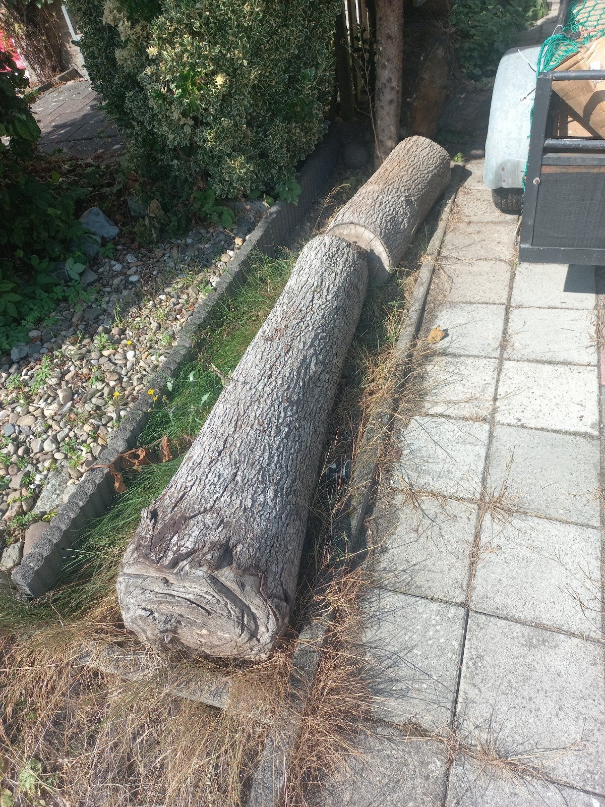 boomstam, Ophalen of Verzenden, Gebruikt, Minder dan 180 cm, Palen