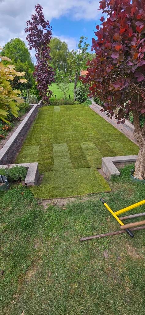 Tuinman (rond hoogeveen)