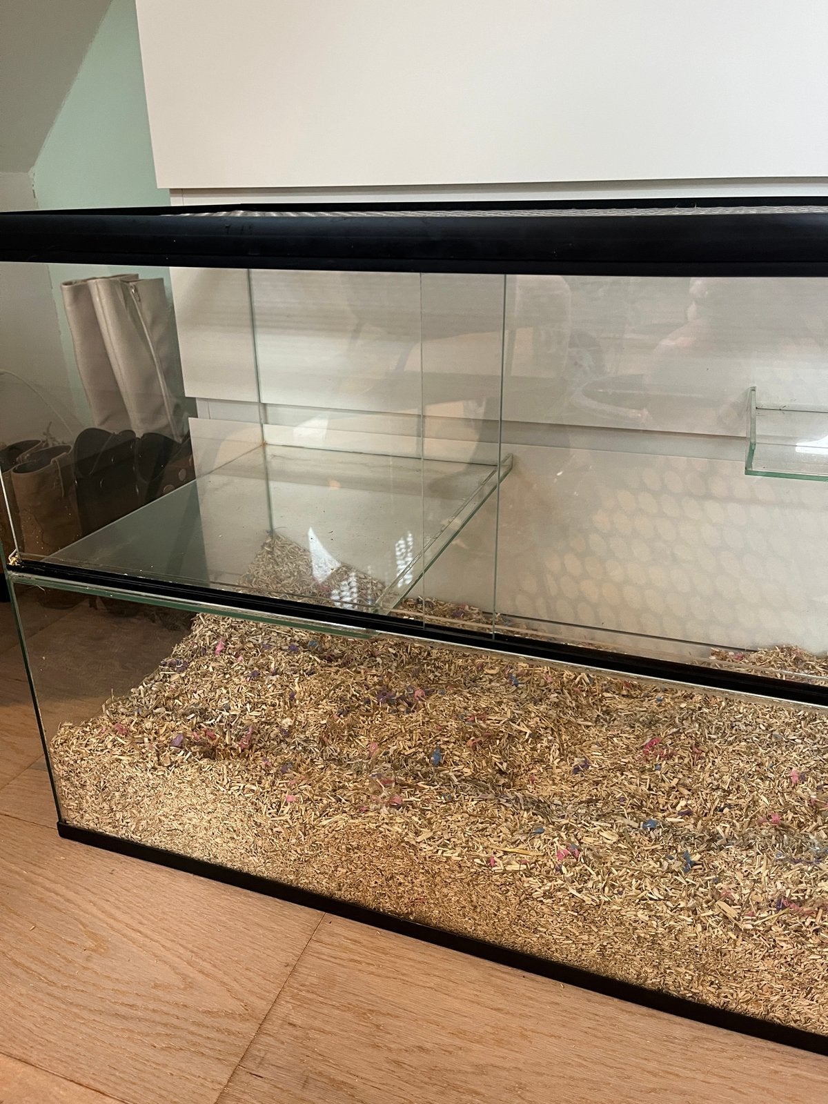 Verblijf voor kleine knaagdieren (gerbil, minirat etc, 110 cm of meer, Zo goed als nieuw, Muis, Hok