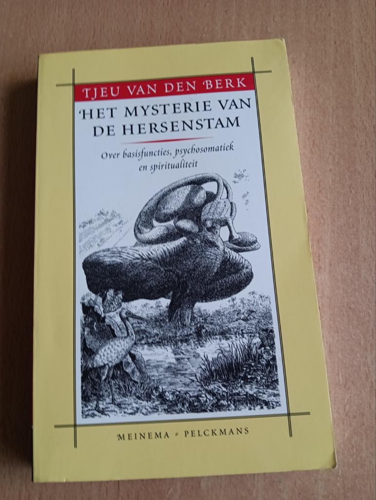 Tjeu van den Berk - Het mysterie van de hersenstam, Ophalen of Verzenden, Zo goed als nieuw, T. van den Berk
