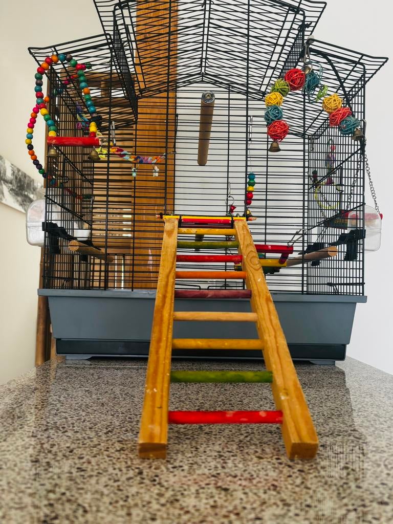 Compete vogelkooi IZA CABRII + kleurrijk, houten speelgoed, Dieren en Toebehoren, Ophalen of Verzenden, Gebruikt