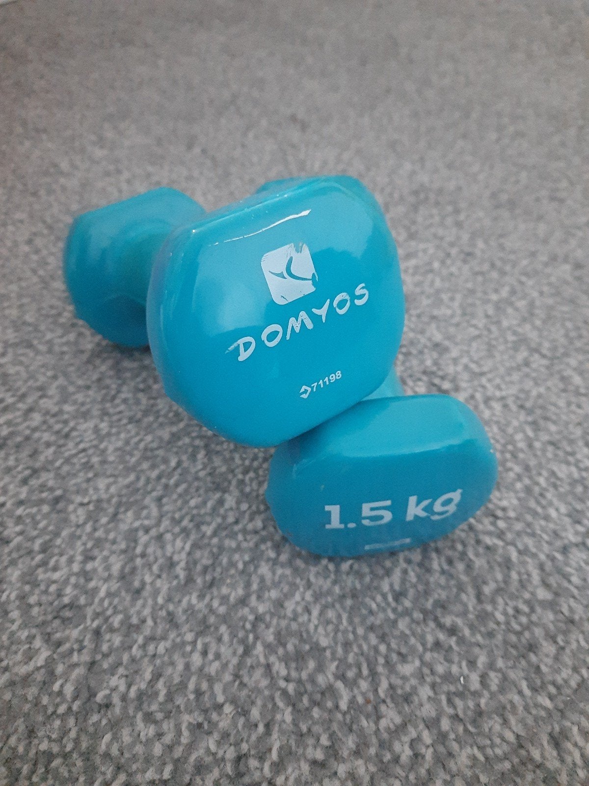 Domyos Dumbbells 1.5 kg, Ophalen, Gebruikt, Rug, Dumbbell