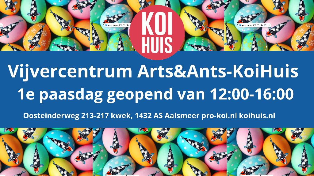 Japanse koi winkel 1e paasdag open, Dieren en Toebehoren, Vissen | Vijvervissen, Karper of Koi