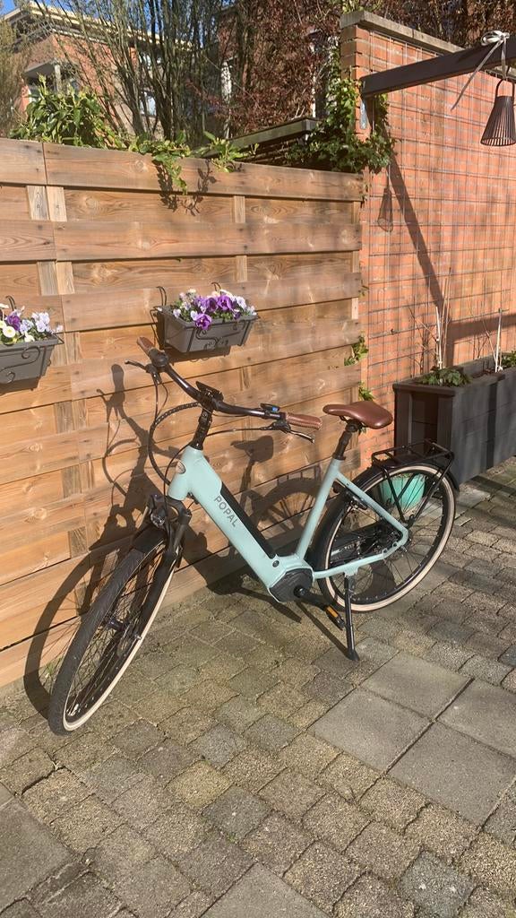Popal novel 54 inch zeegroen, Fietsen en Brommers, 51 tot 55 cm, Ophalen, Zo goed als nieuw, Overige merken