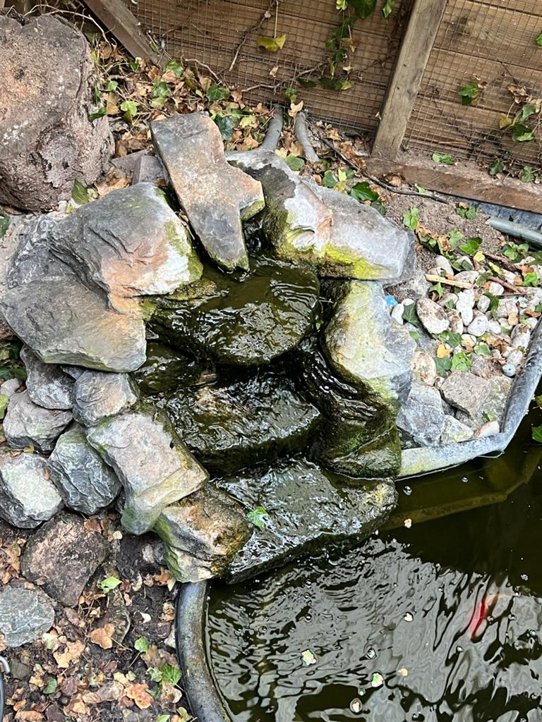 Vijver met waterval en drukfilter 6000, Tuin en Terras, Ophalen, Gebruikt