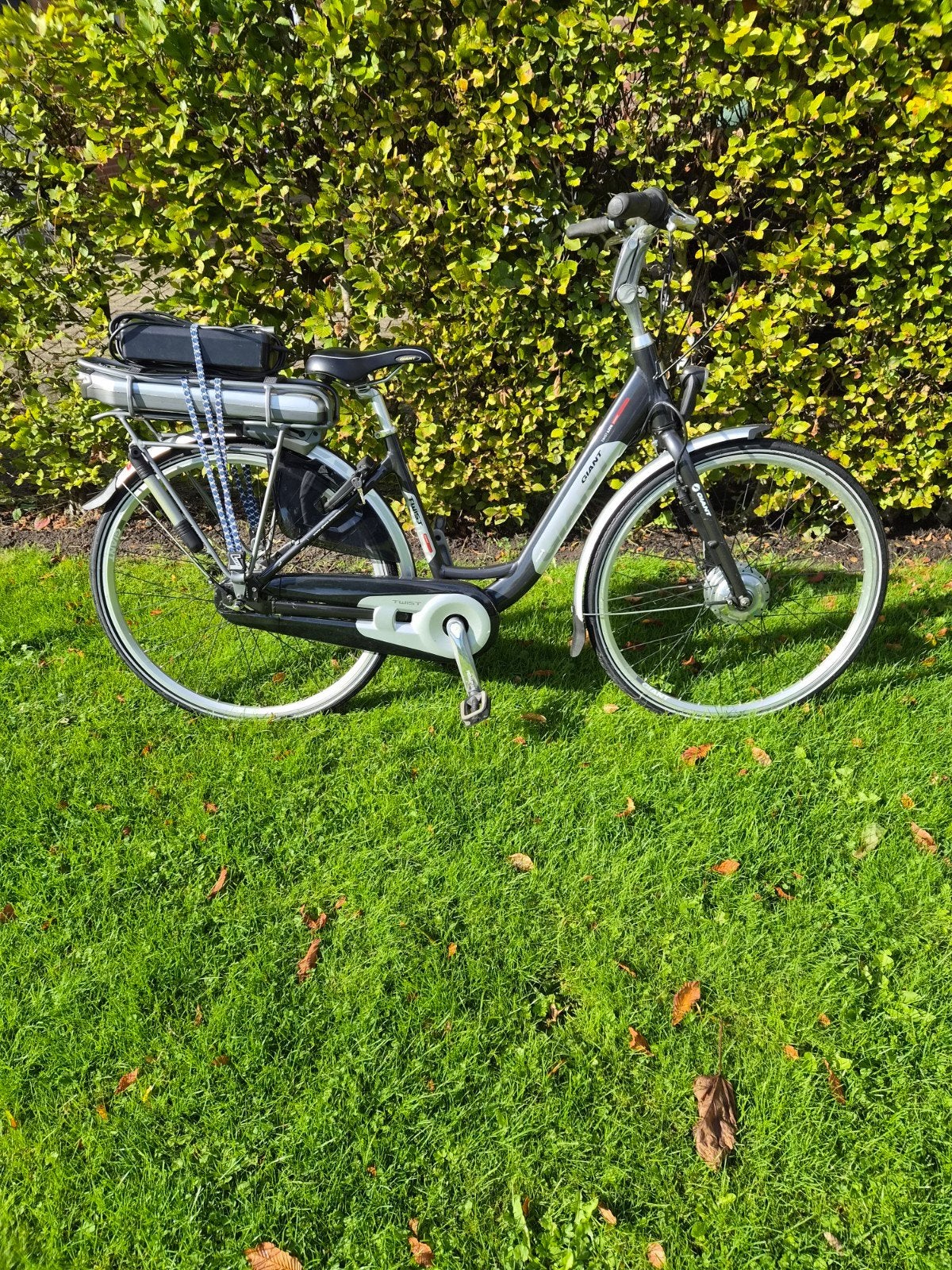 Elektrische damesfiets giant twist nieuwstaat, Ophalen of Verzenden, Zo goed als nieuw