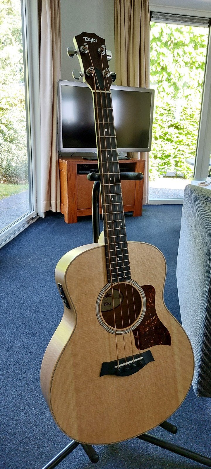 Taylor GS Mini-e Bass Akoestische Basgitaar, Ophalen of Verzenden, Zo goed als nieuw, Semi-akoestisch