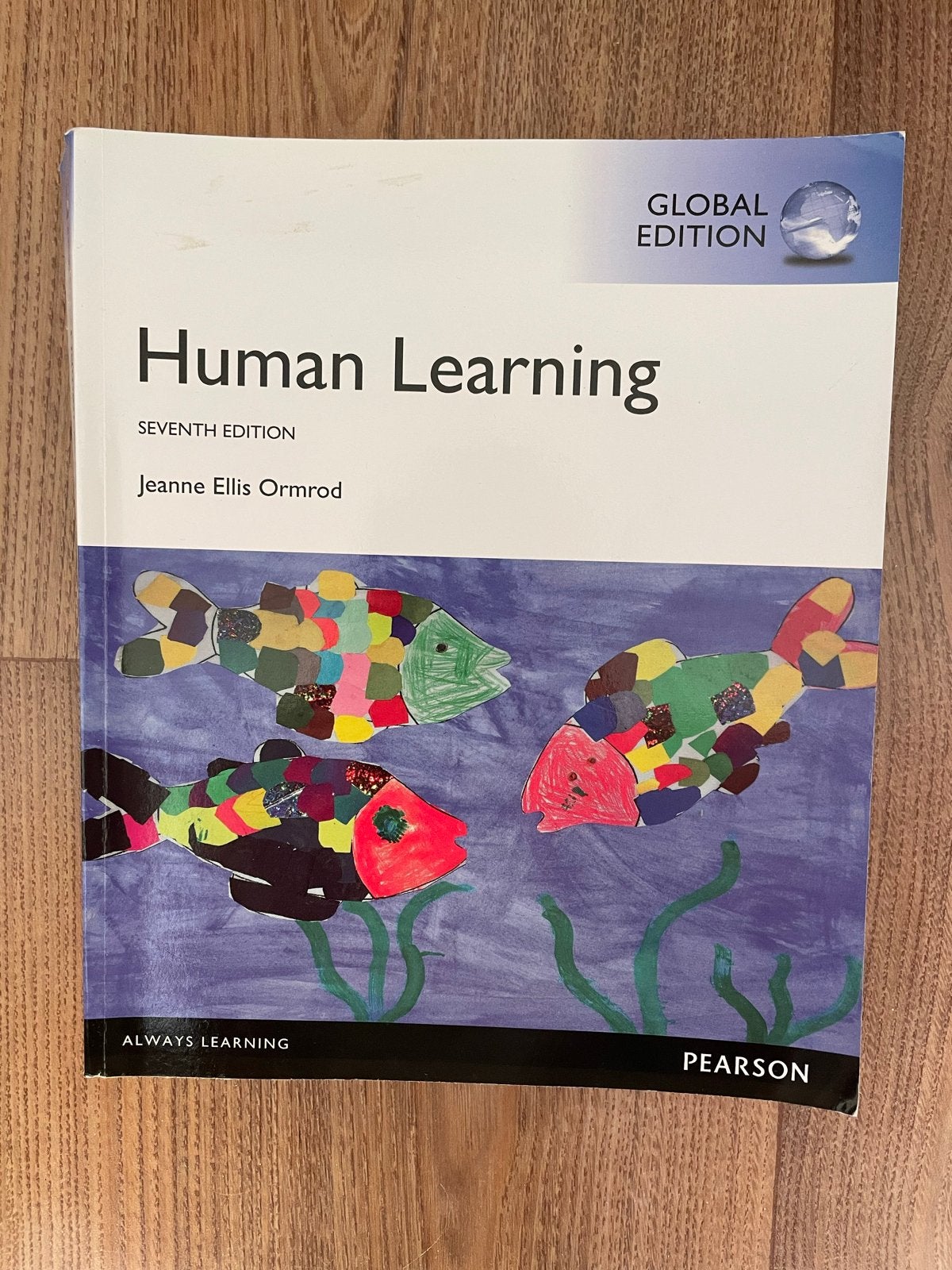 Human Learning - Zevende Editie - Jeanne Ellis Ormrod, Boeken, Ophalen of Verzenden, Gamma, Zo goed als nieuw, HBO