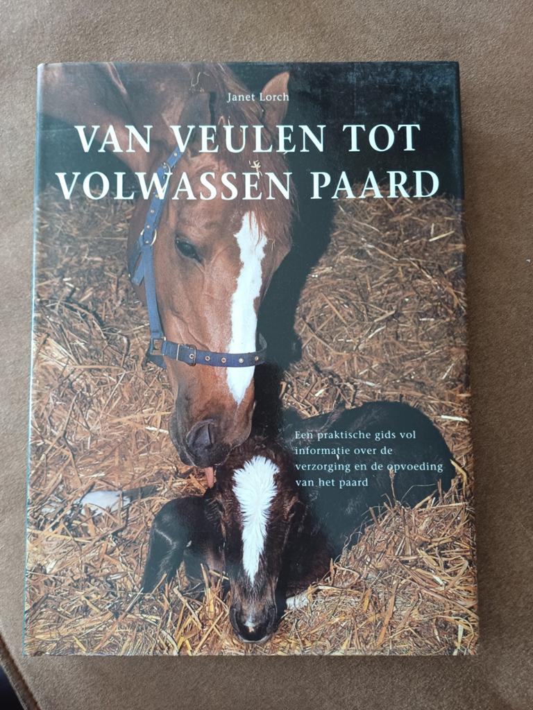 Boek J. Lorch - Van veulen tot volwassen paard, J. Lorch, Ophalen of Verzenden, Zo goed als nieuw, Paarden of Pony's