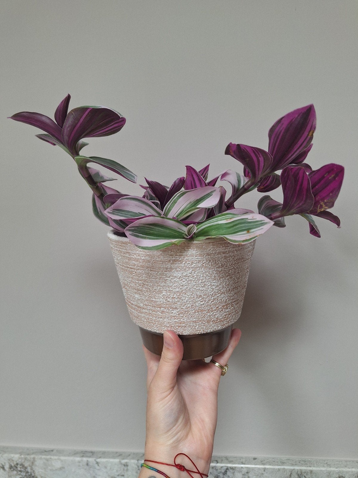 Art Deco Bloempot vintage, Ophalen of Verzenden, Gebruikt, Meerkleurig, Steen/keramiek