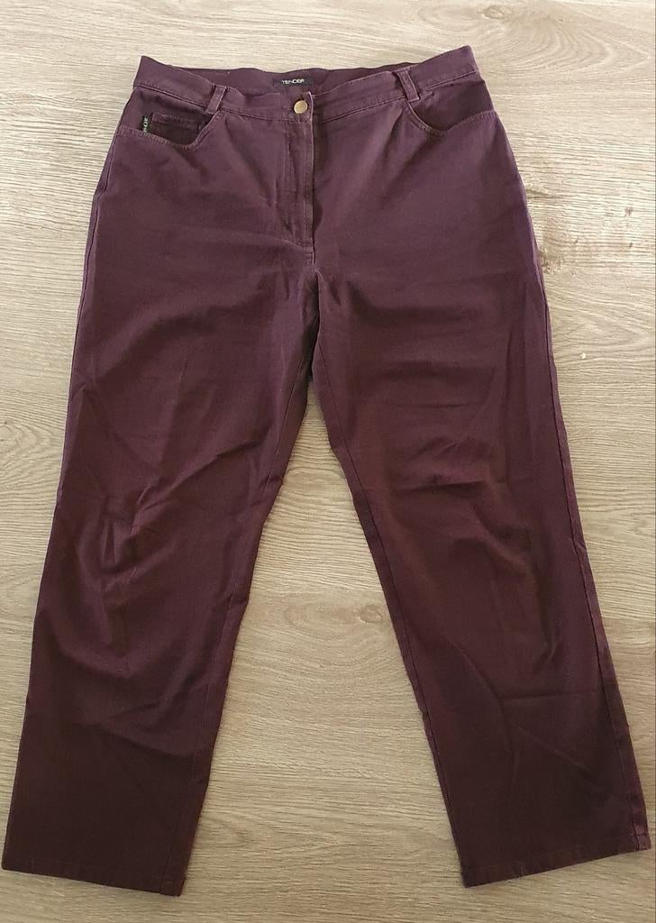 Tender aubergine broek 42, Kleding | Dames, Paars, Maat 42/44 (L), Ophalen of Verzenden, Lang