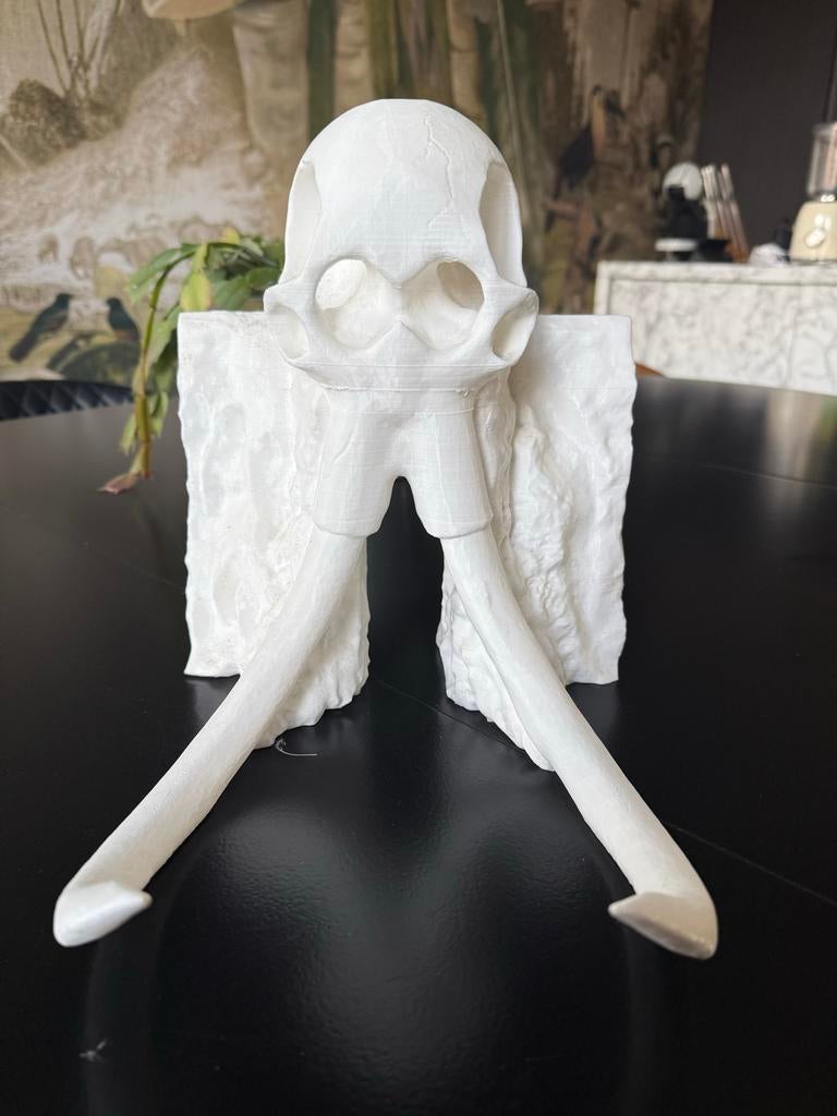 Olifant Schedel 3D Print met Grot, Antiek en Kunst, Kunst | Beelden en Houtsnijwerken, Ophalen of Verzenden