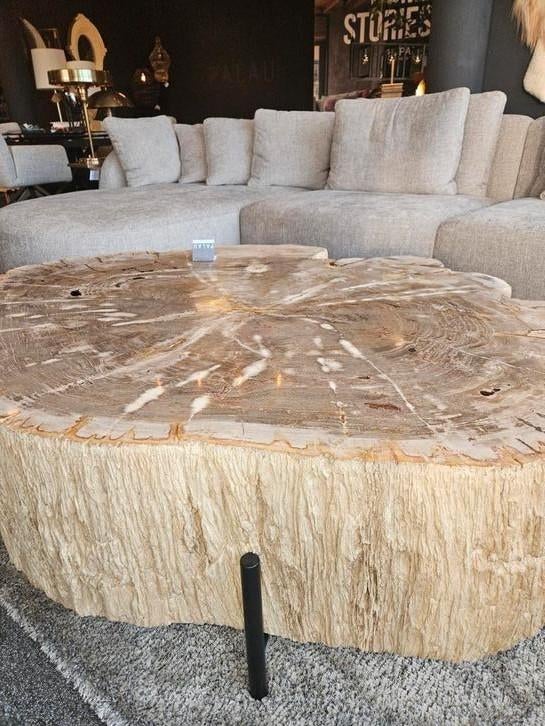 Salontafel versteend hout patrified wood, Huis en Inrichting, Tafels | Salontafels, Nieuw, Minder dan 50 cm, Rechthoekig, 50 tot 100 cm