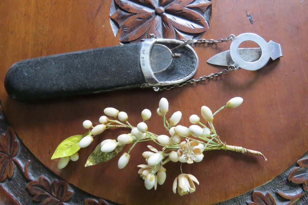 Antieke sterling zilveren chatelaine brillenkoker 1918-1920, Ophalen of Verzenden