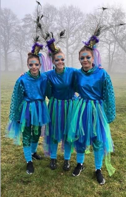 Gereserveerd: Carnavalspakken M-XL - 14 stuks - 2 Thema's, Carnaval, Kleding, Gedragen, Ophalen