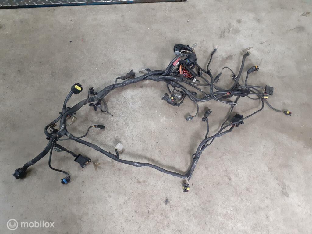 Kabelboom origineel draadboom Monster 1000, Motoren, Ophalen of Verzenden, Gebruikt