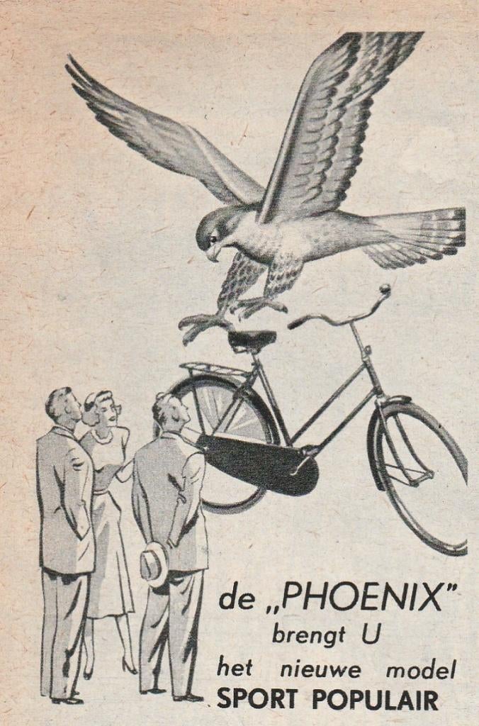 Retro reclame 1954 Phoenix Leeuwarden fiets Sport Populair, Verzenden, Overige typen