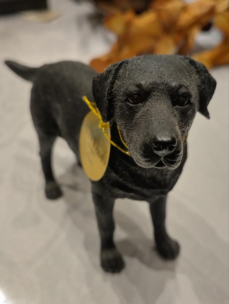 Zwarte Labrador van The Leonardo Collection, Verzamelen, Ophalen of Verzenden