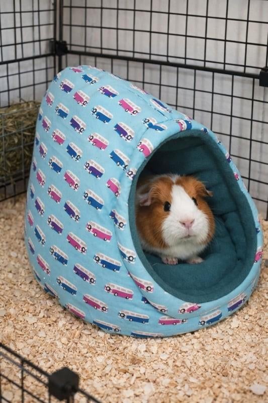 Handgemaakte " theemuts " bed voor cavia NIEUW in 2 maten, Karinasdierenwebshop@hetnet.nl, Groningen, Verzenden, Nieuw