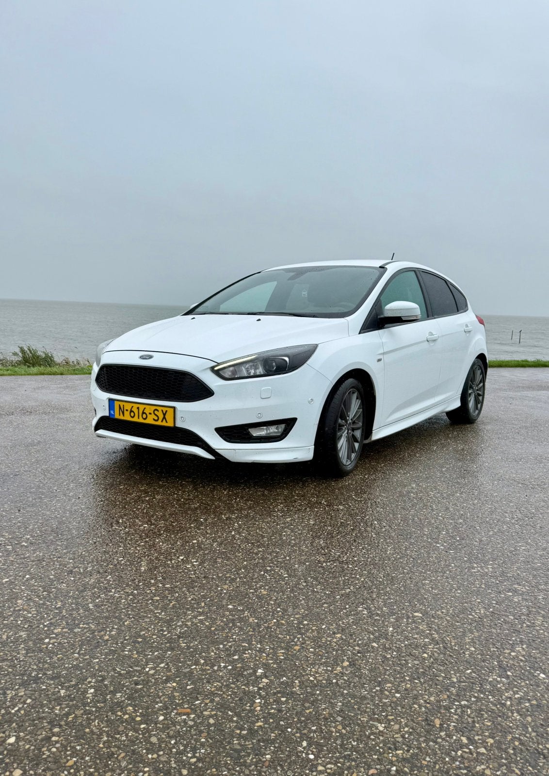 Ford Focus 1.0 Ecoboost 2017 Wit, Stof, Zwart, Wit, 1200 kg