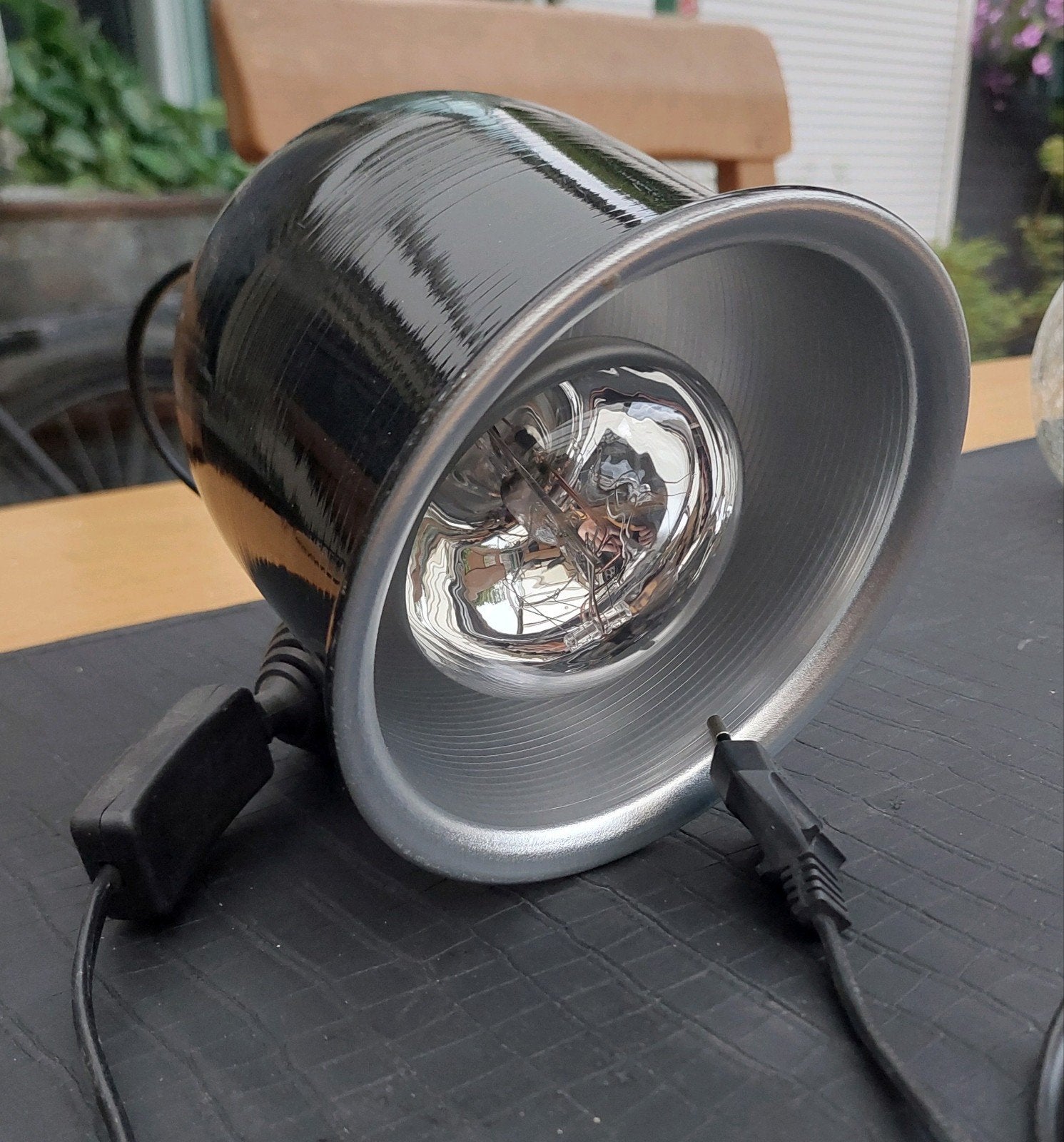 Warmtelamp voor terrarium, Ophalen of Verzenden