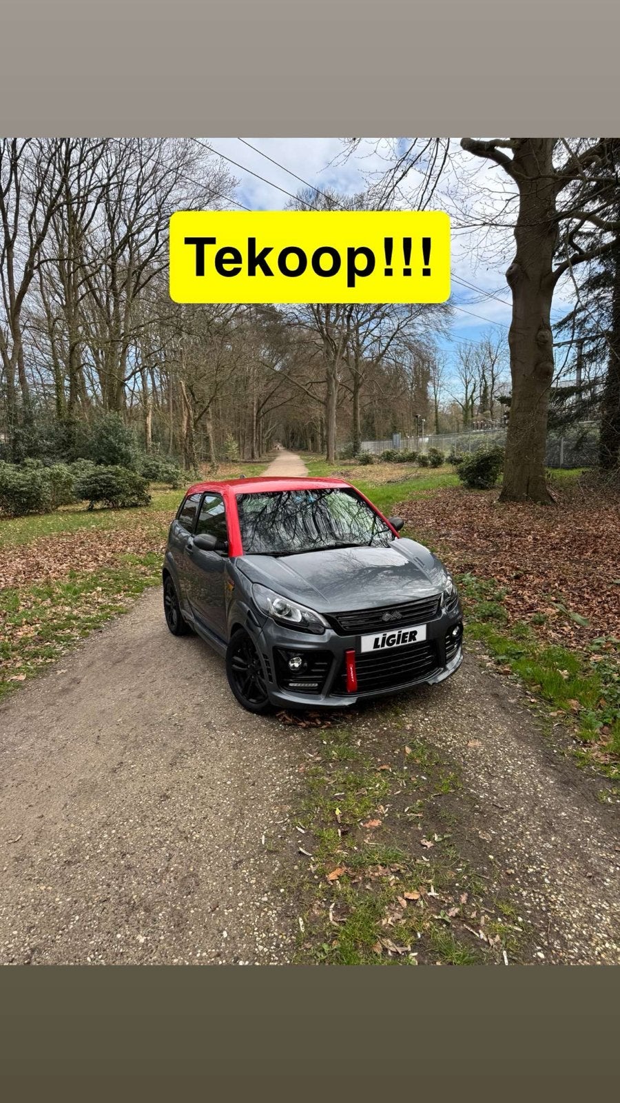 Ligier js50L sport, Ophalen, Gebruikt, Maximaal 45 km/u