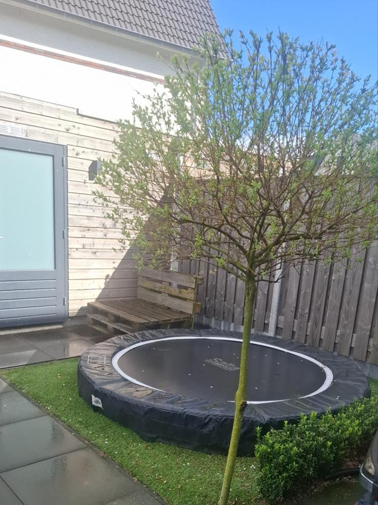 Salta inground trampoline 251 cm, Kinderen en Baby's, Speelgoed | Buiten | Trampolines, Ophalen