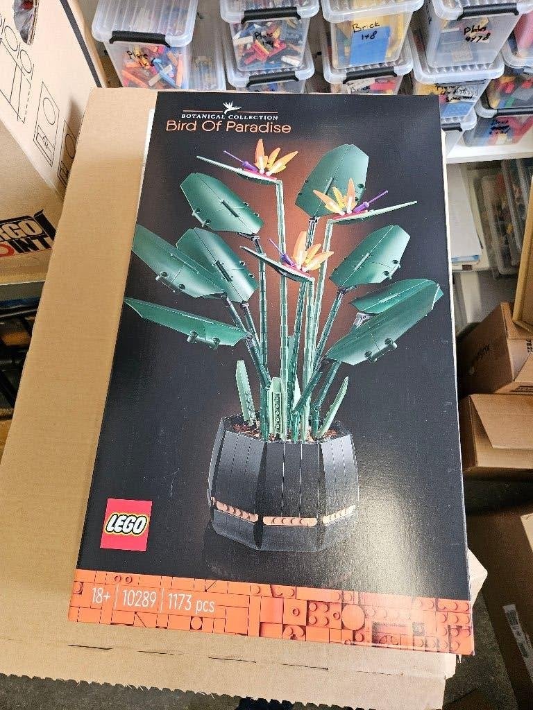 Lego 10289 Bird of Paradise nieuw in doos, Lego, Nieuw, Ophalen of Verzenden, Icons