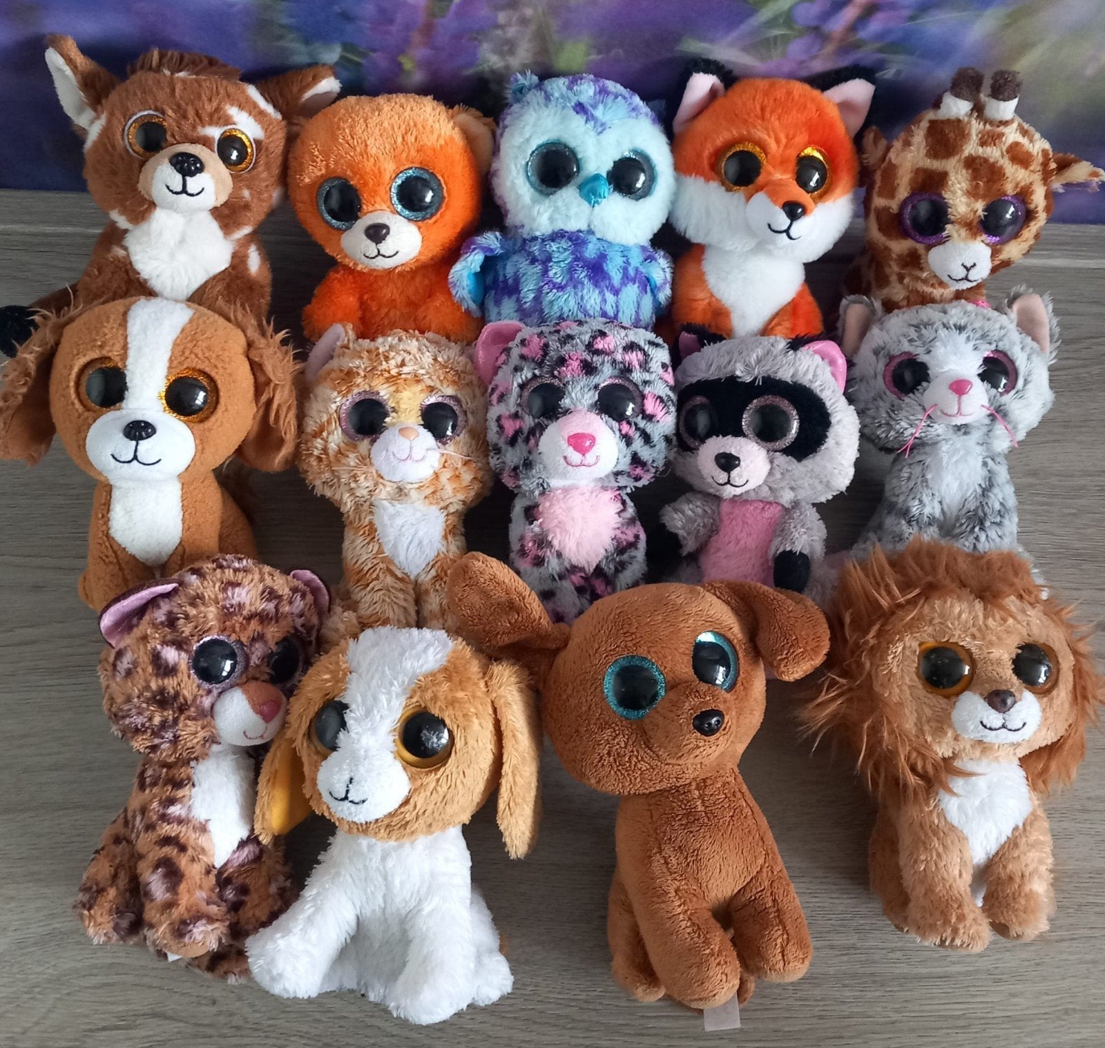 Grote collectie Ty Beanie Boo's knuffels, Ophalen of Verzenden, Zo goed als nieuw
