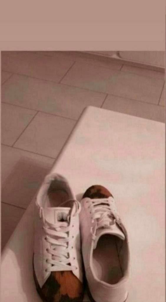 Schoenen maat 44, Ophalen of Verzenden, Zo goed als nieuw