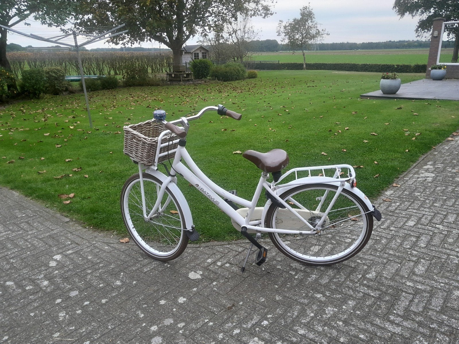 Batavus kinderfiets met Mand, Fietsen en Brommers, Ophalen, Gebruikt, Velgrem, Versnellingen