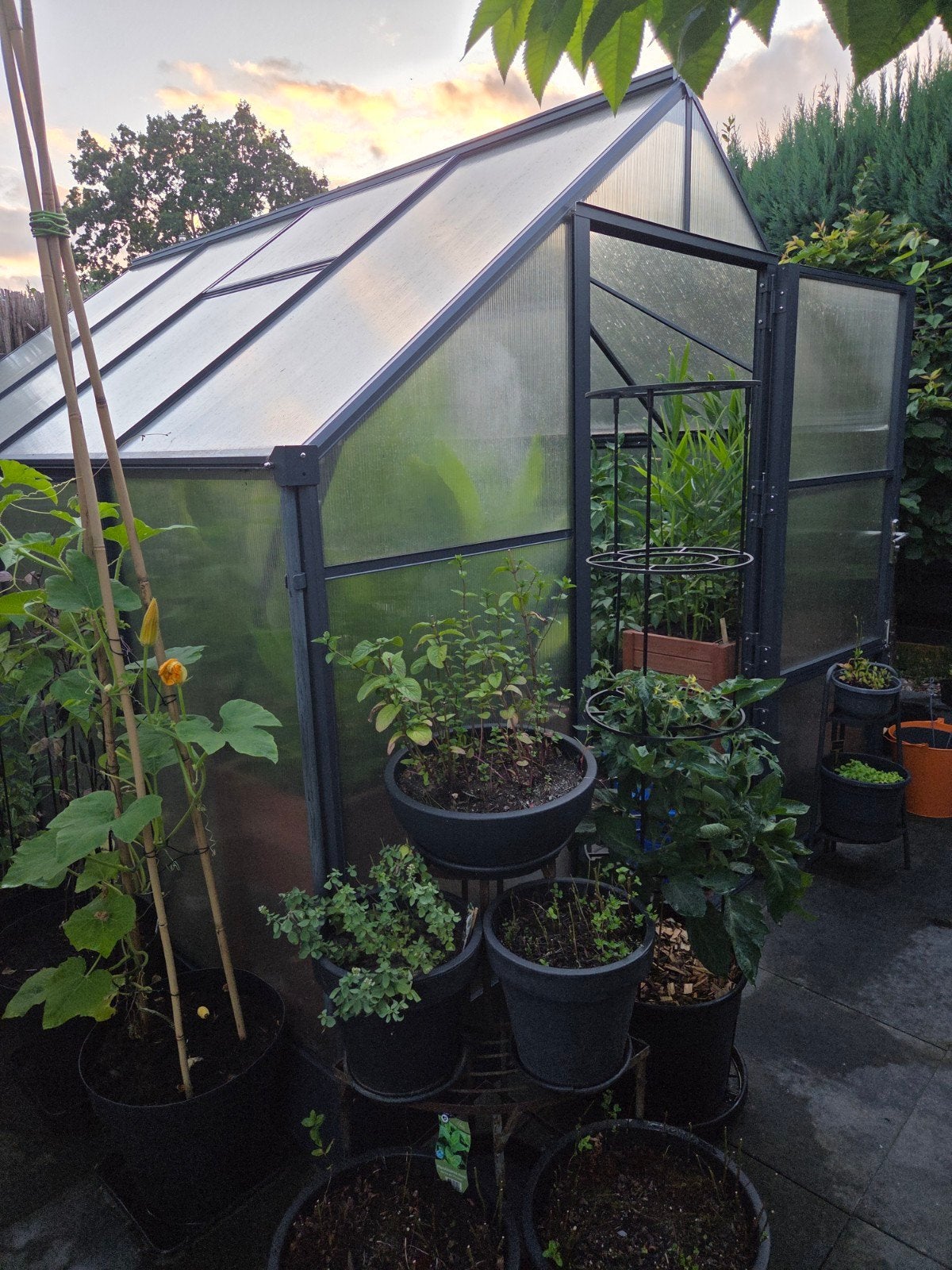 Stevige Duitse Kas 240x300 met 6mm Polycarbonaat, Tuin en Terras, Ophalen, Polycarbonaat, Gebruikt, Kweekkas