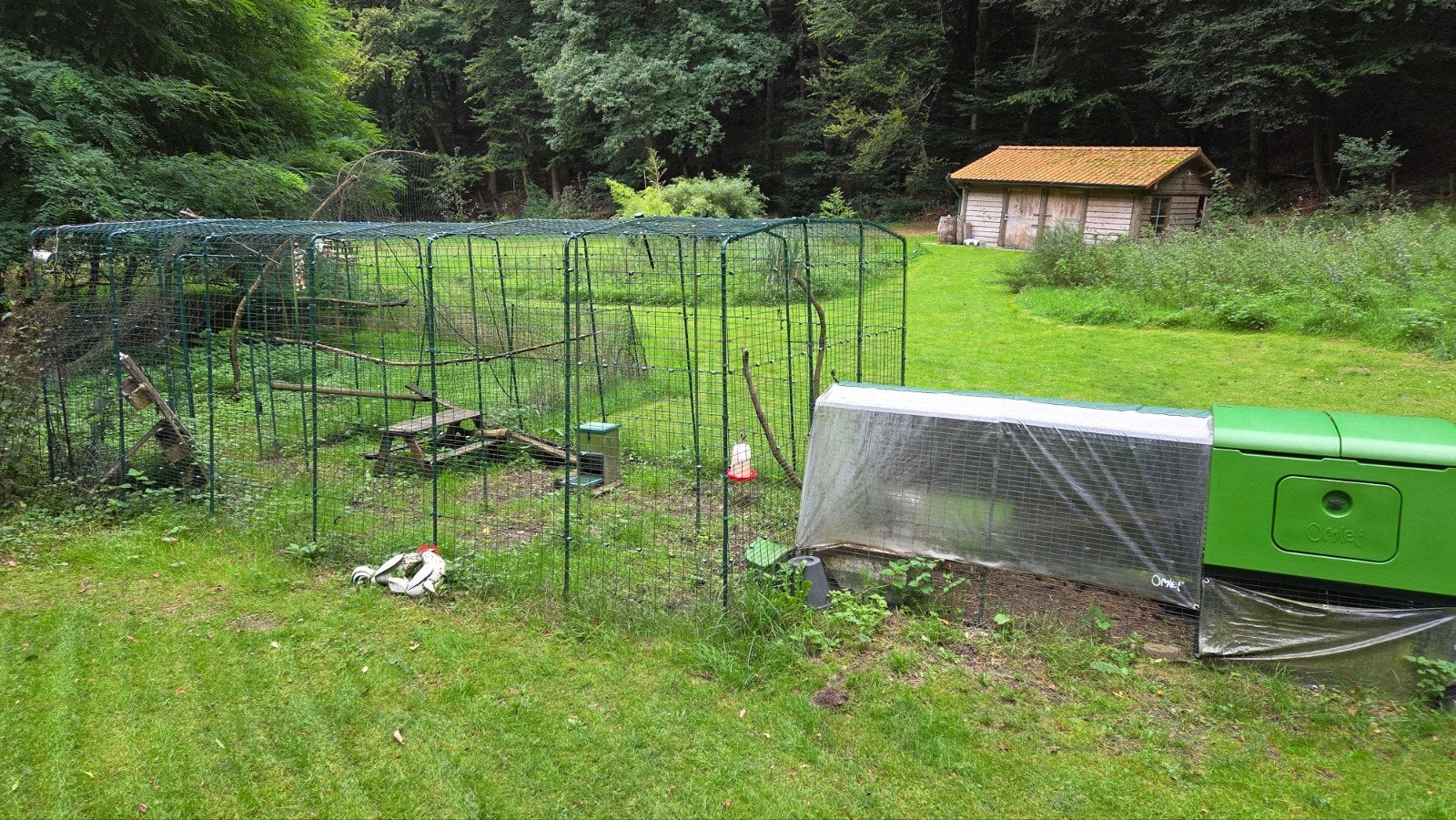 Eglu Cube + Grote Inloopren + Auto door + meer, Ophalen, Gebruikt, Kippenhok of Kippenren