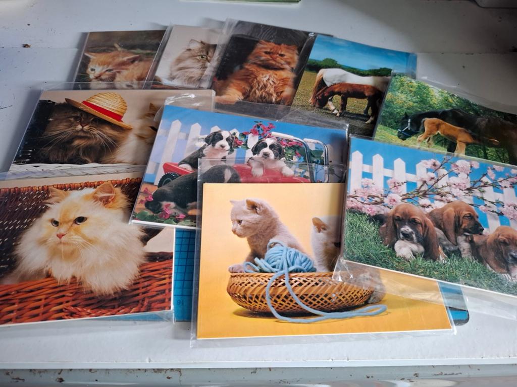 85 pakjes aanzichtkaarten asortie dieren per 5 verpakt, Ophalen of Verzenden, Nieuw