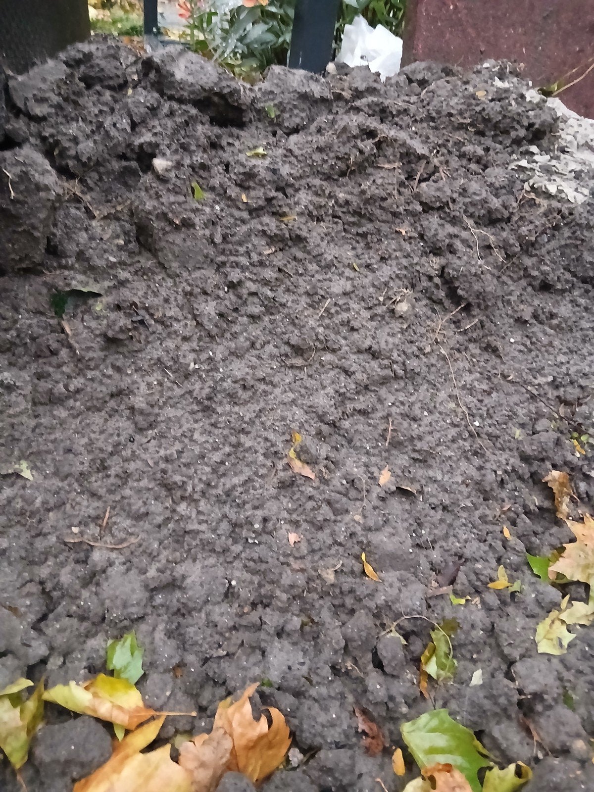 zwart zand, Ophalen, Tuinaarde