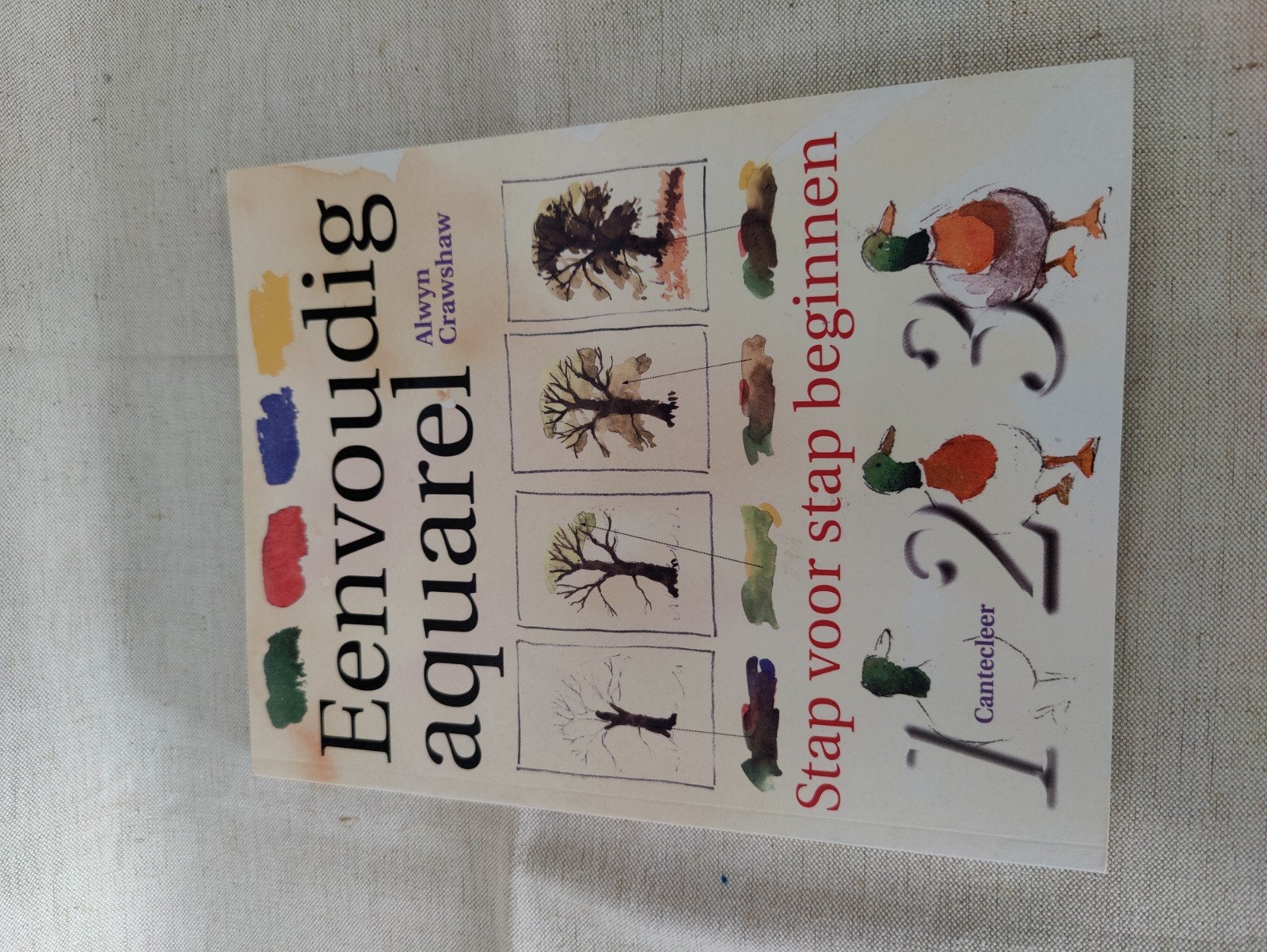 eenvoudig aquarel, stap voor stap, Ophalen of Verzenden, Boek of Gids