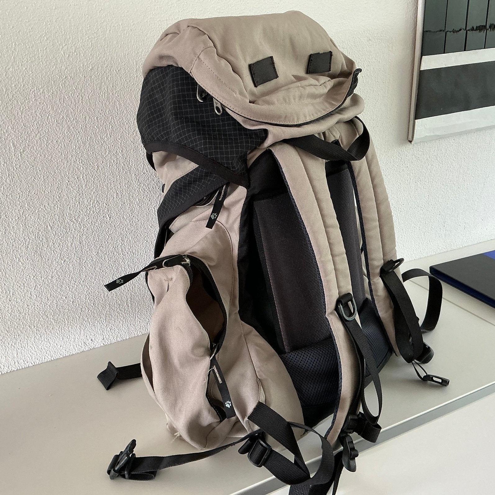 Jack wolfskin rugzak, Ophalen of Verzenden, Zo goed als nieuw, Overige merken