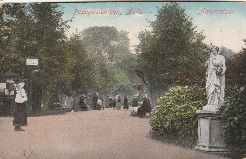 amsterdam- papegaaienlaan artis 1923, Ophalen of Verzenden, 1920 tot 1940, Noord-Holland