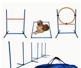 hond training set nieuw in originele verpakking, Dieren en Toebehoren, Ophalen of Verzenden, Nieuw