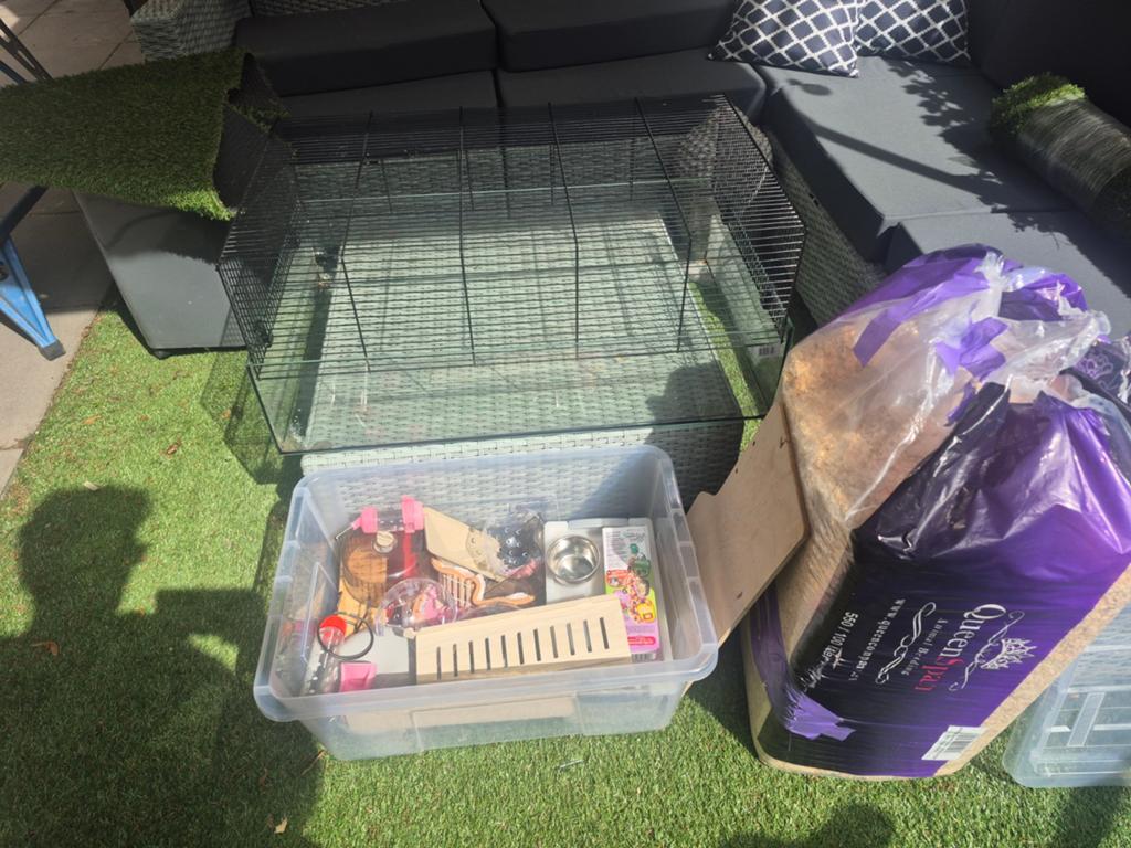 Hamsterkooi, Dieren en Toebehoren, Knaagdieren, Januari, Mannelijk, Hamster