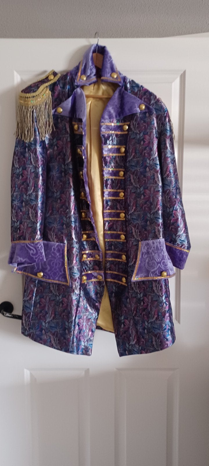Prachtig Paars Carnavalskostuum Jas met Gouden Details, Carnaval, Kleding, Ophalen, Maat 38/40 (M)