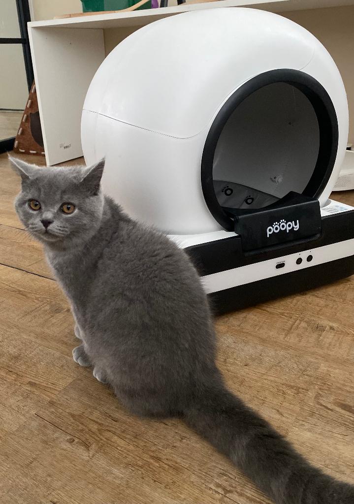 Elektrische kattenbak Poopy nano 2, Dieren en Toebehoren, Kattenbakken, Ophalen, Zelfreinigend, Zo goed als nieuw, Open