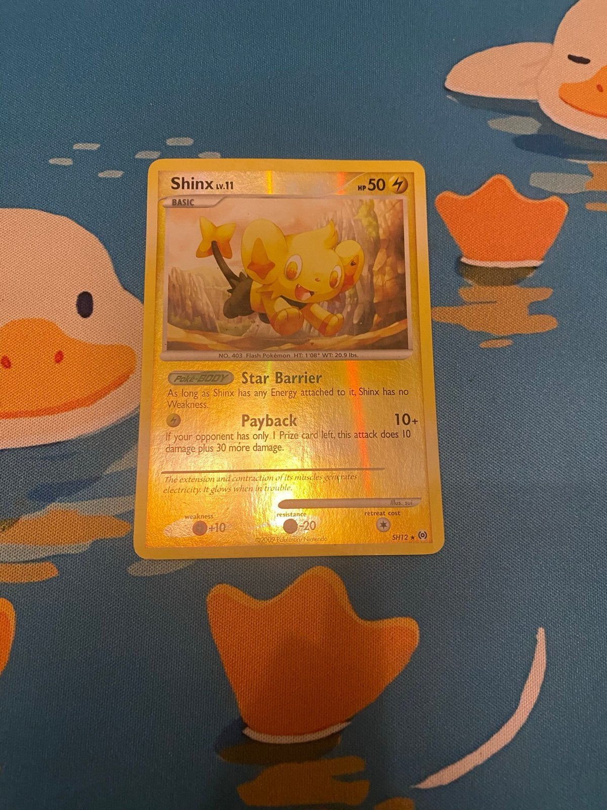 Shinx Lv.11 Pokémon kaart (Foil), Ophalen of Verzenden, Zo goed als nieuw, Losse kaart, Foil