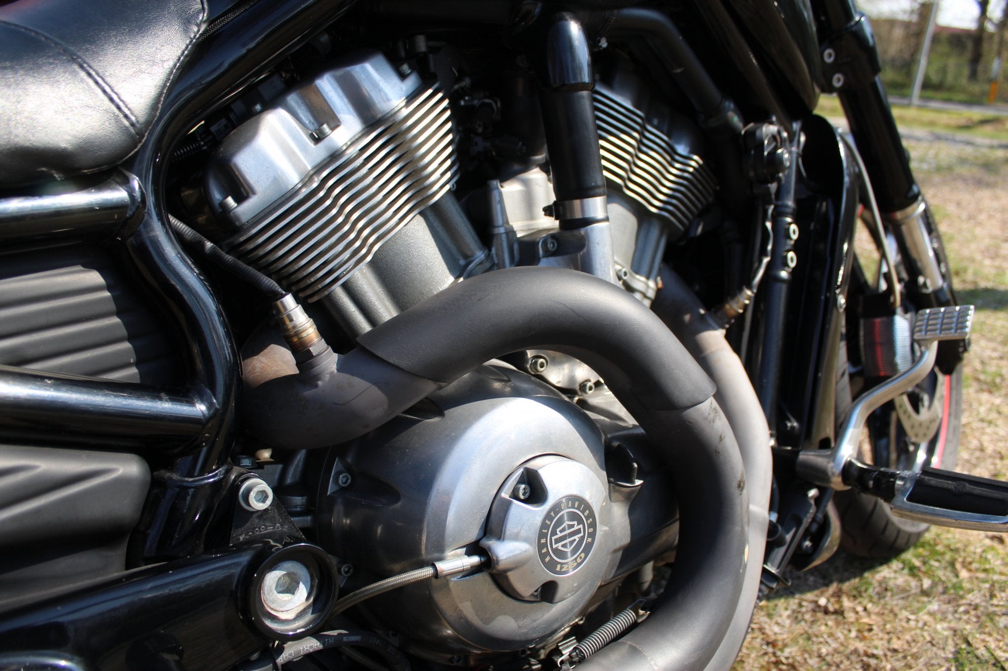 Harley-Davidson V-Rod Muscle, Motoren, Chopper, Bedrijf, Meer dan 35 kW, 1250 cc