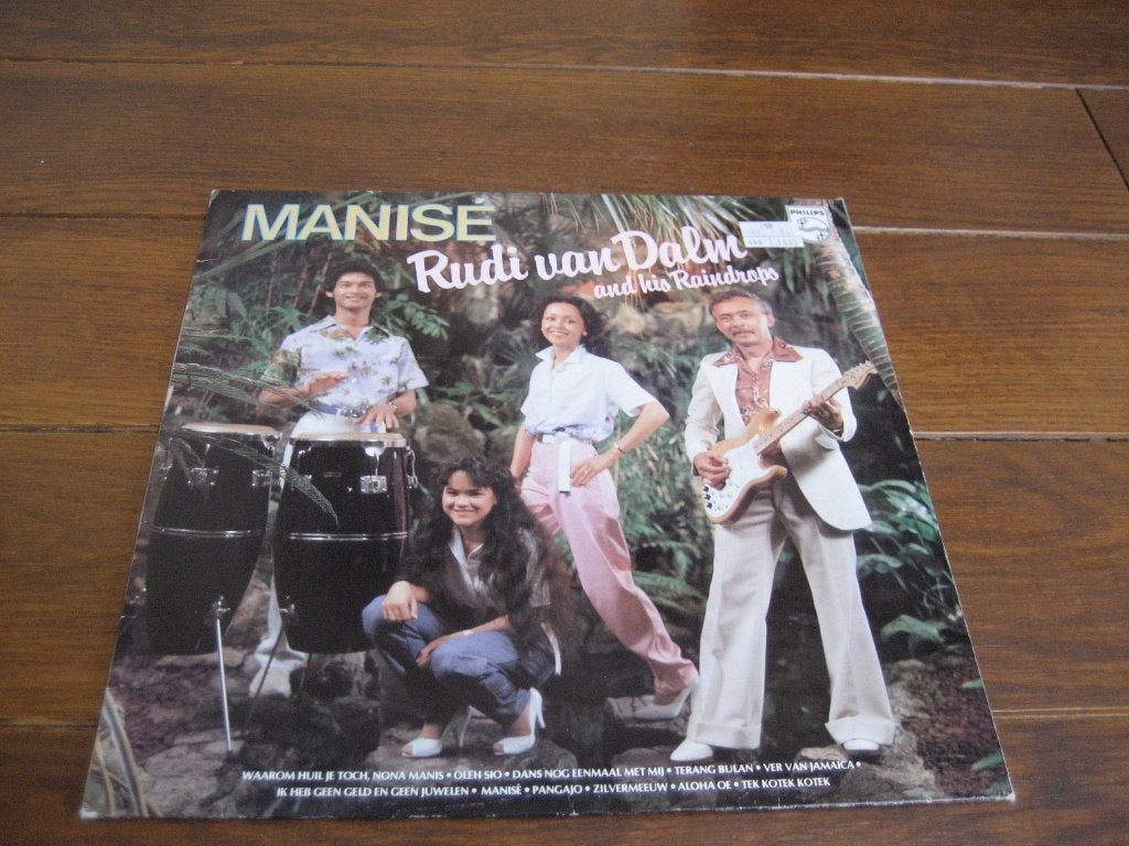 Rudi van dalm indo nl lp 60s nederpop, Ophalen of Verzenden, Zo goed als nieuw, 12 inch, LP