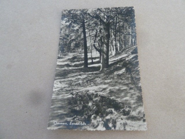 Ommen 1956 Eerderbos, Ophalen of Verzenden, 1940 tot 1960, Gelopen, Overijssel