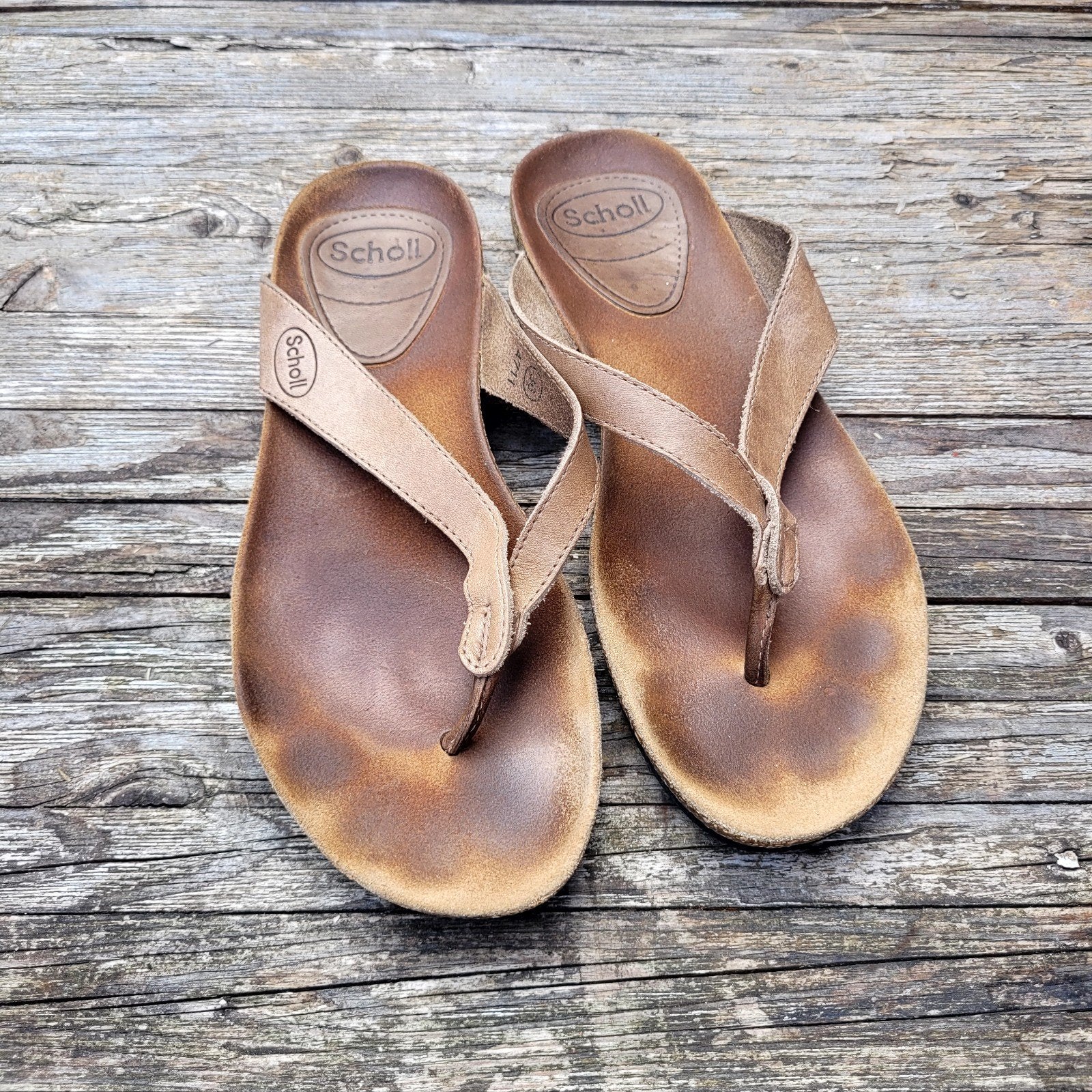 Scholl bruin lederen dames (teen)slippers | Maat 36, Slippers, Scholl, Bruin, Ophalen of Verzenden