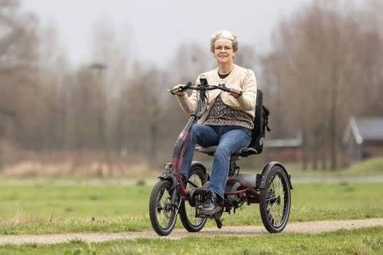 Gezocht Driewielfiets: Bijvoorbeeld Van raam easy rider, Ophalen of Verzenden, Zo goed als nieuw