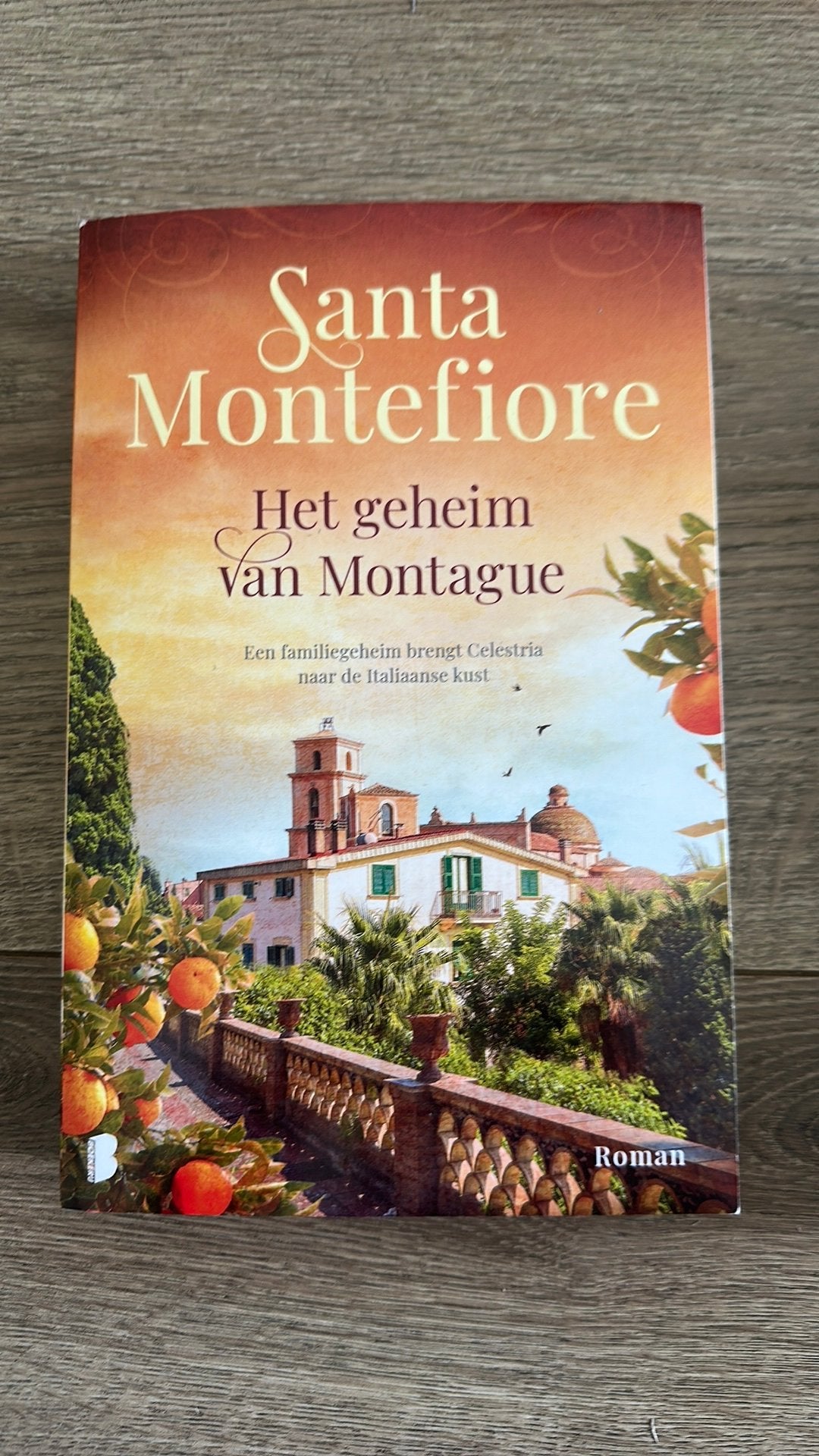 Santa Montefiore: Het geheim van Montague, Ophalen of Verzenden, Zo goed als nieuw