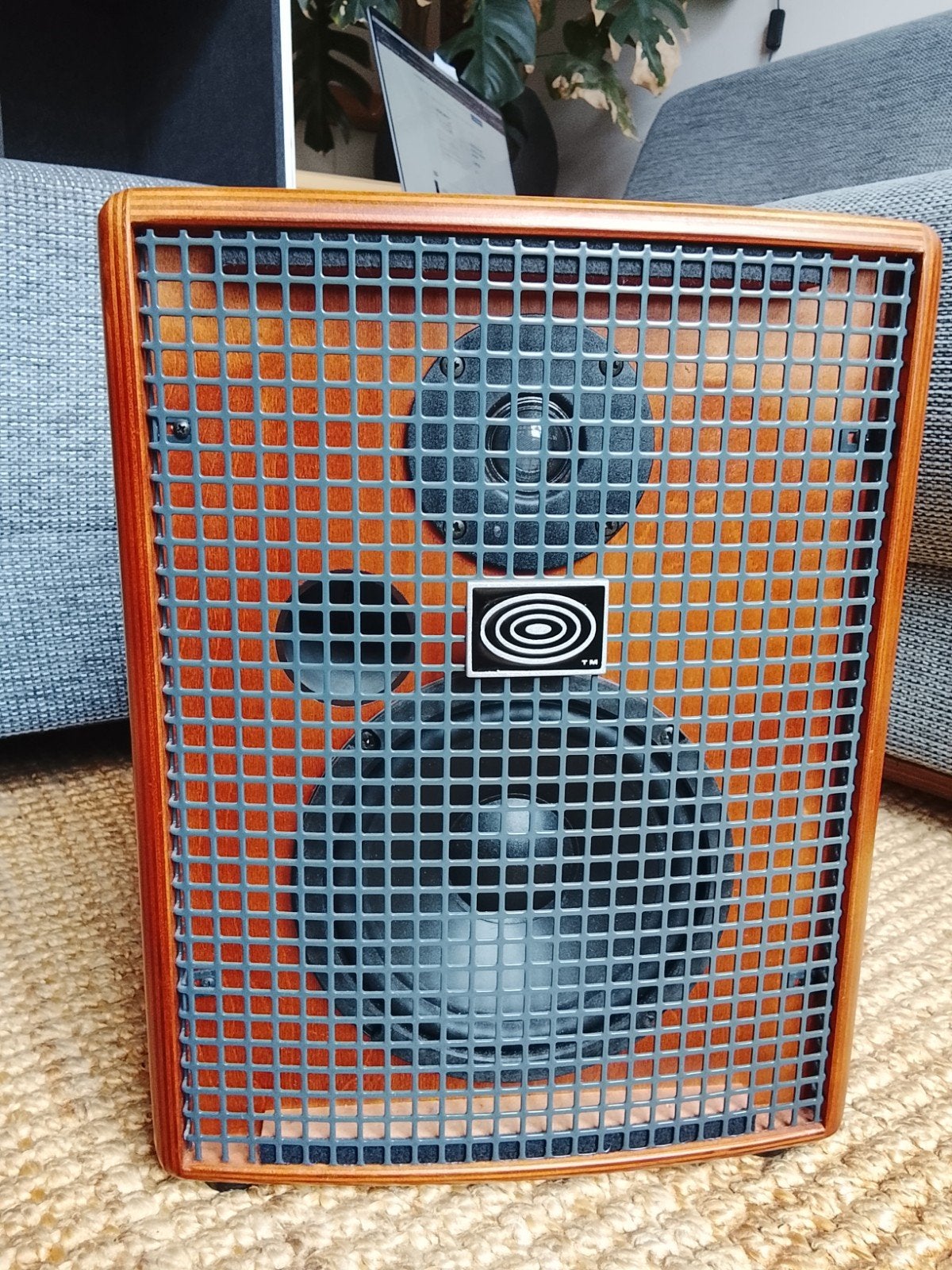 Schertler Jam 100 acoustic amp + flightcase, Muziek en Instrumenten, Ophalen, Gebruikt, Gitaar, 50 tot 100 watt